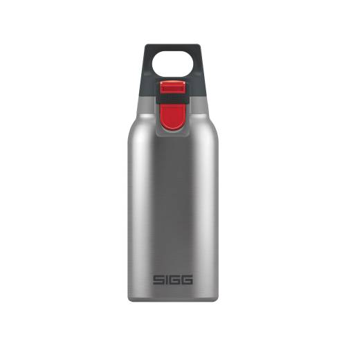 SIGG Thermo Hot & Cold  0.3 - Brushed