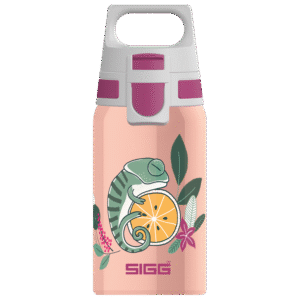 SIGG Bottle 0.5 Stainless Steel Shield - Flora S