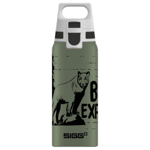 SIGG Bottle 0.6 WMB One Brave - Lion
