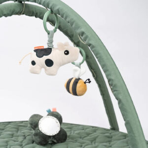 Gyms & Activity Centers